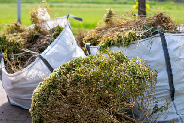 Best Garage Cleanout Services  in Salem, MO
